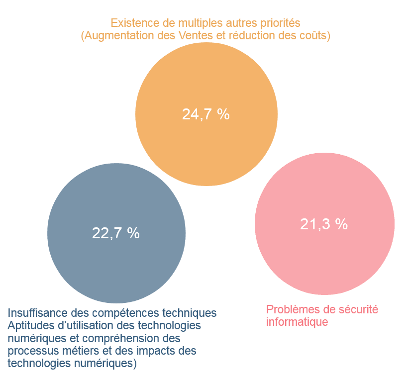 Les contraintes / obstacles faces à la digitalisation